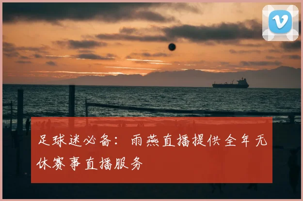 足球迷必备：雨燕直播提供全年无休赛事直播服务