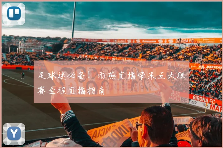 足球迷必备！雨燕直播带来五大联赛全程直播指南