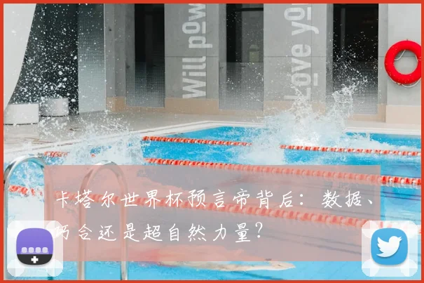 卡塔尔世界杯预言帝背后：数据、巧合还是超自然力量？