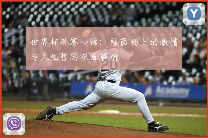 世界杯观赛心语:绿茵场上的激情与人生哲思深度解析