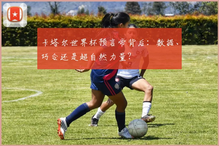 卡塔尔世界杯预言帝背后:数据、巧合还是超自然力量?
