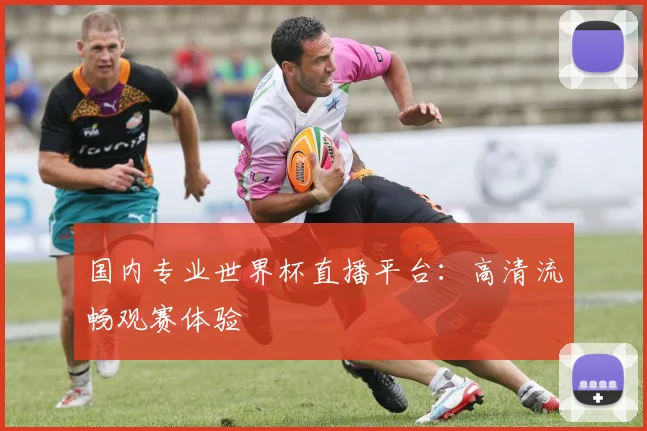 国内专业世界杯直播平台：高清流畅观赛体验