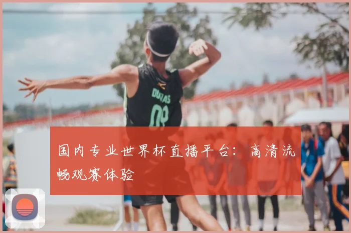 国内专业世界杯直播平台：高清流畅观赛体验
